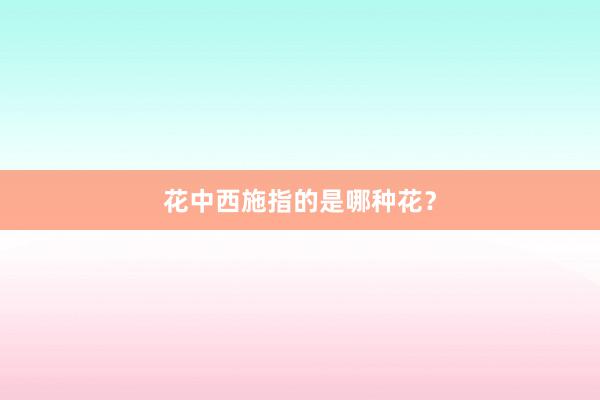 花中西施指的是哪种花？