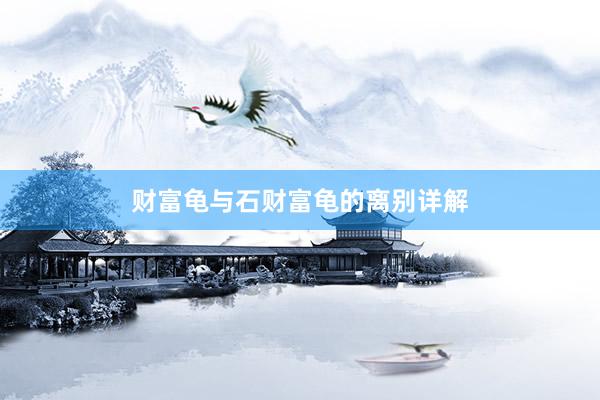 财富龟与石财富龟的离别详解
